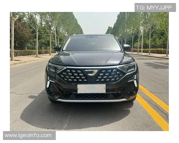 捷达VS5手机连接问题解析及解决方法分享